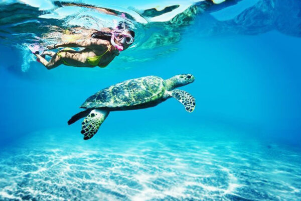 Master Island excursion from Noumea